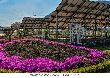 White Wooden Waterwheel Under Solar Panel At Public Park With Purple Flowers In Foreground.