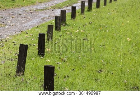 Creosote Poles In Grassy Area Marking Edge Of Driveway
