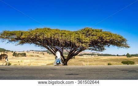 Gondar, Ethiopia - Feb 07, 2020: Ethiopian People On The Road From Gondar To The Simien Mountains, N