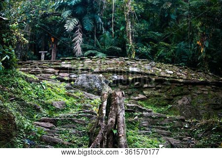 Terrace From Where A House Had Been Built In The Lost City (indigenous Name Teyuna), Sierra Nevada D