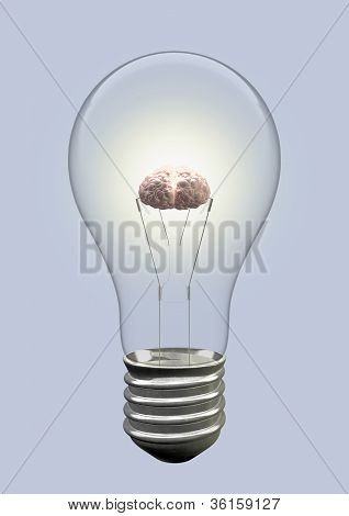 Ampul Brain yaratıcı