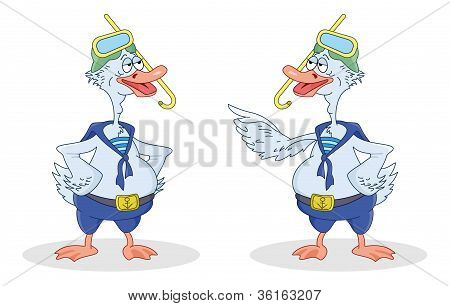 Two geese divers talk