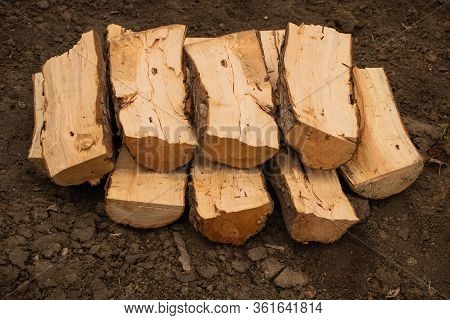 Some Good Wood For The Wood Oven Or For The Fireplace