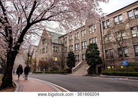 Seoul, South Korea - April 10, 2019 : Students Walking Among Beautiful Cherry Blossoms In Spring At 