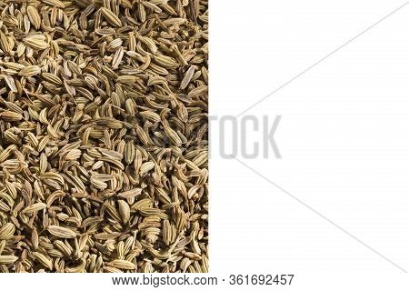 Foeniculum Vulgare - Dry Organic Fennel Seeds. Text Space