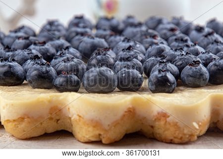 Homemade Cheesecake Decorated With Blueberry. Close Up