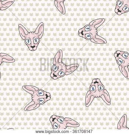Cute Cartoon Sphynx Kitten Face Seamless Vector Pattern. Pedigree Exotic Kitty Breed Domestic Cat Ba