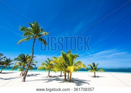 Amazing Beach With White Sand And Coconut Trees. Tropical Background. Holidays By The Ocean, Sunny T
