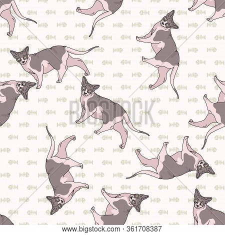 Cute Cartoon Sphynx Cat Seamless Vector Pattern. Pedigree Exotic Kitty Breed Domestic Cat Background