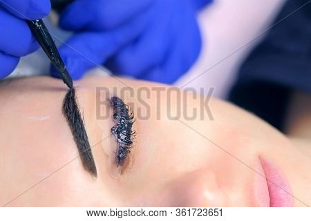 Cosmetologist Making Lash Laminating, Eyebrow And Lash Painting For Woman In Beauty Clinic, Eye Clos