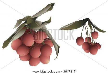 Litchi frutta