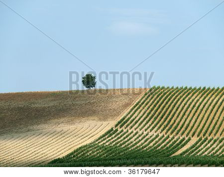 Tuscany