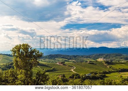The Beautiful Vineyard Of Collio, Friuli Venezia-giulia, Italy