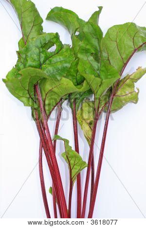 Listy z červené řepy
