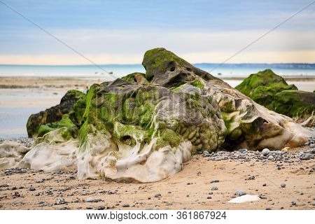 Stone With Moss After The Ebb Of The Ocean