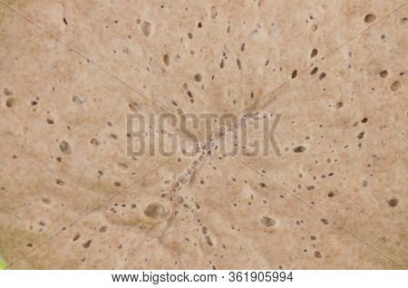 close up active fermentation of bread starter. 