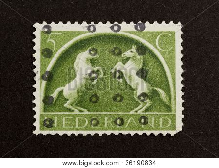 Holland - Circa 1950: Stamp Printed In The Netherlands