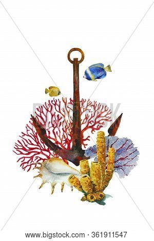 Watercolor Anchor With Sea Fan Corals Red And Blue, And Tube Sponge Coral , Big Shell And Some Tropi