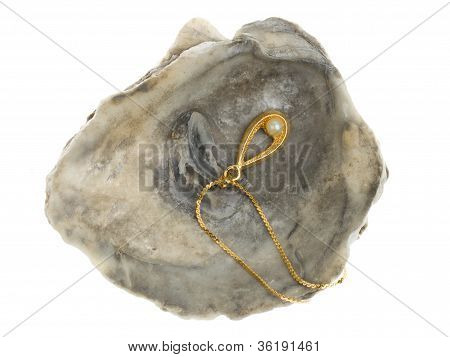 Golden Necklace With A Pearl In A Oystershell