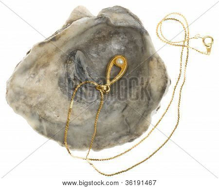 Golden Necklace With A Pearl In A Oystershell