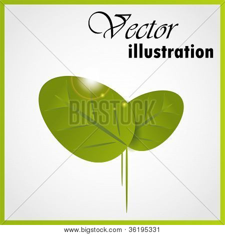 Green leaf isolé on white
