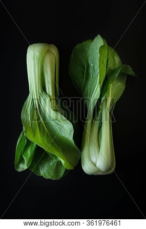 Two Whole Bok Choy, Or Chinese Cabbage Greens Against Isolated On A Black Background.