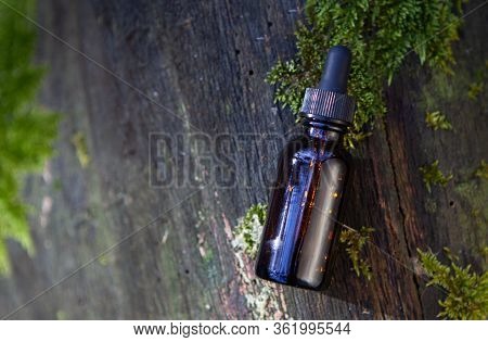 Aroma Oil In Bottles - Nautal Cosmetic. Medicine From Natural Products.