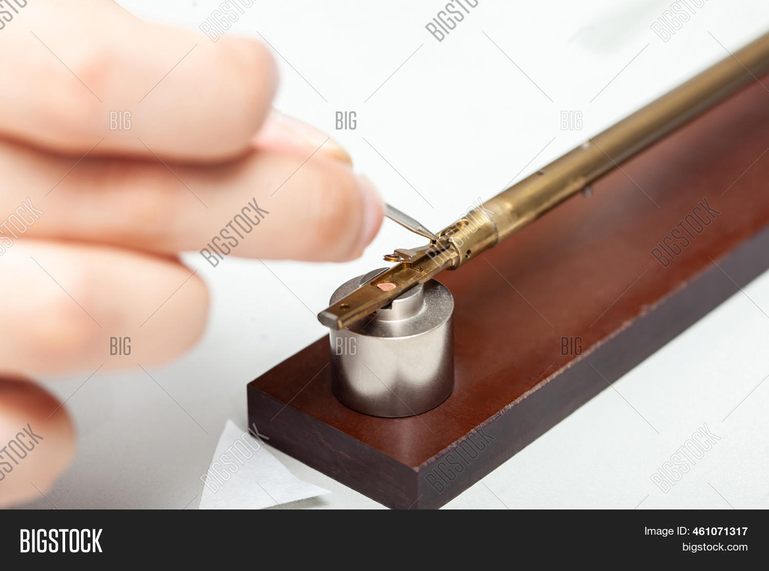 Transmission Electron Image & Photo (Free Trial) Bigstock