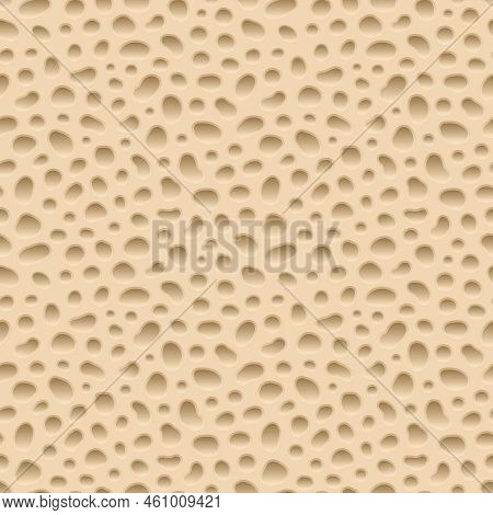 Bone Spongy Structure, Bone Structure Vector Seamless Pattern. Spongy Bone, Medicine Spongy Illustra