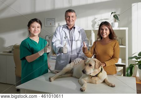 Smiling Veterinarian, Nurse And Owner Shosing Thumbs-up When Standing At Table With Recovered Dog