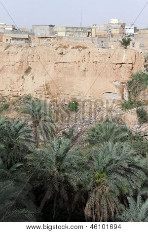 Shushtar, İran'ın palmiye ağaçları