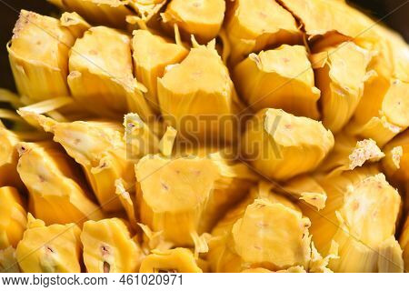 Jackfruit On Top View, Close Up Ripe Jackfruit Peeled Tropical Fruit Fresh From Jackfruit Tree