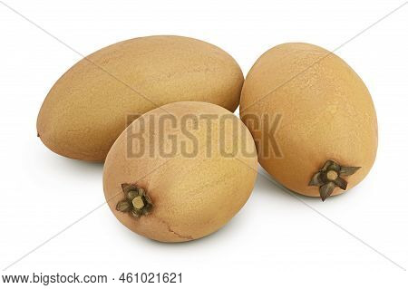 Sapodilla Isolated On White Background With Full Depth Of Field