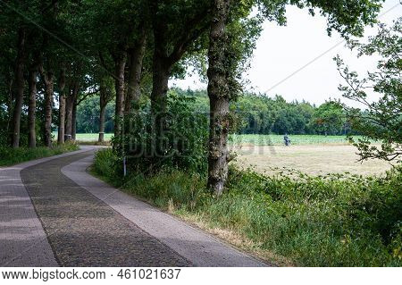 Elsloo, Friesland, The Netherlands - 07 22 2022 - Bending Road Through The Trees And Meadows At The 
