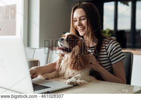 Delightful Smiling Young Woman Sitting In Kitchen With Dog Coker Spaniel, Use Laptop. Video Call To 