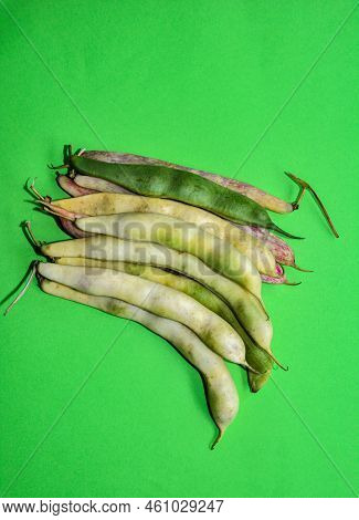Dry Open Bean Pods Close-up. Harvest Beans.