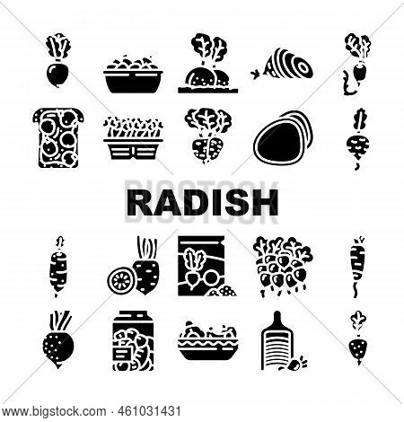 Radish Food Organic Vegetable Icons Set Vector. Healthy Plant, Garden Nature, Red Ripe Ingridient, N