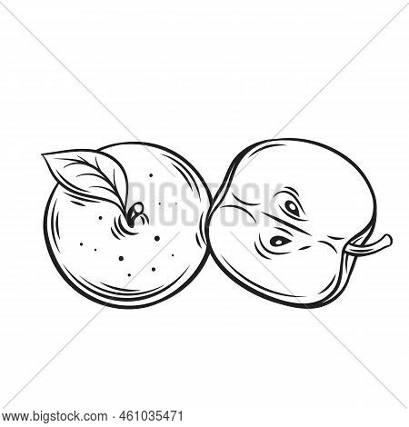 Apples Line Icon, Whole And Half Of Fruit, Hand Drawning Apple Cut In Fresh Slice