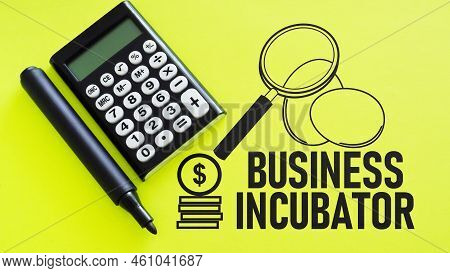 Business Incubator Is Shown Using A Text And Picture Of Eggs