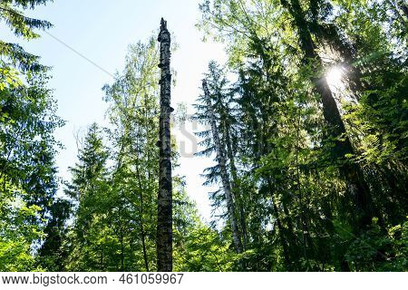 Russia, Vladimir Region, June 20 2022, Memorial Complex At The Site Of The Death Of Yuri Alekseevich