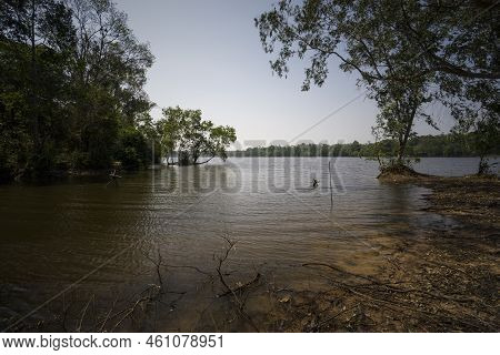 Man Made Reservoir Environmental Conservation Helping Native Species To Recover By Planting Native P