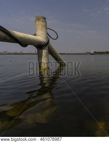 Man Made Reservoir Environmental Conservation Helping Native Species To Recover By Planting Native P