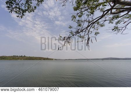 Man Made Reservoir Environmental Conservation Helping Native Species To Recover By Planting Native P