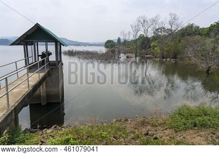 Man Made Reservoir Environmental Conservation Helping Native Species To Recover By Planting Native P