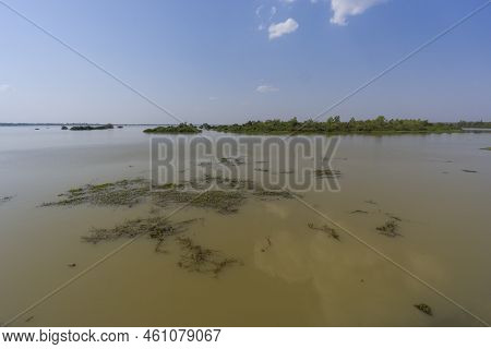 Man Made Reservoir Environmental Conservation Helping Native Species To Recover By Planting Native P
