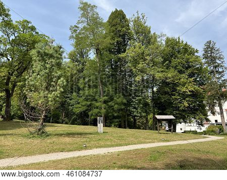 The Snežnik Castle Park - Stari Trg Pri Lozu, Slovenia (park Ob Gradu Snežnik Ali Grajski Park Snežn