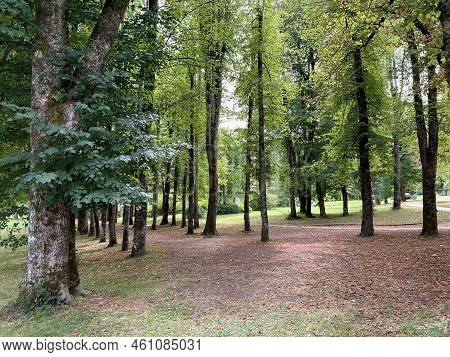 The Sneznik Castle Park - Stari Trg Pri Lozu, Slovenia (park Ob Gradu Snežnik Ali Grajski Park Snežn