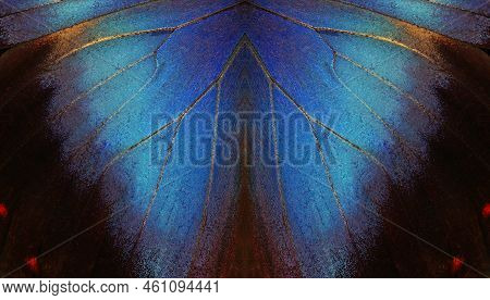 Abstract Symmetrical Ornament. Abstract Pattern From Morpho Butterfly Wings. Blue Tropical Butterfly