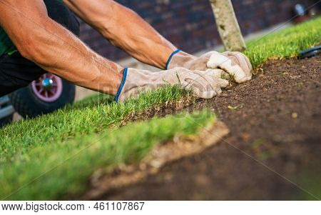 Caucasian Landscaping Worker Arranging Pieces Of Natural Grass Turfs Close Up Photo. Landscaping And