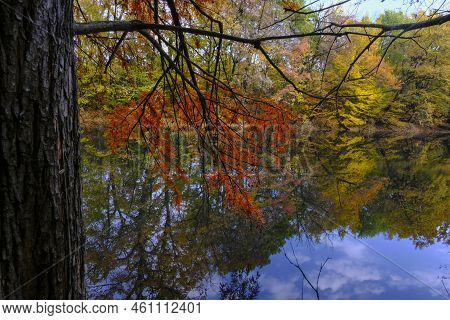 Colorful Red, Yellow, And Orange Autumn Trees Reflected In The Surface Water Of The Lake In Boschi D